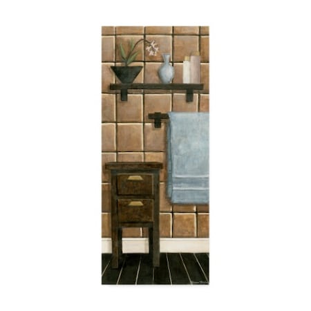 Megan Meagher 'Modern Bath Panel Iv' Canvas Art,20x47